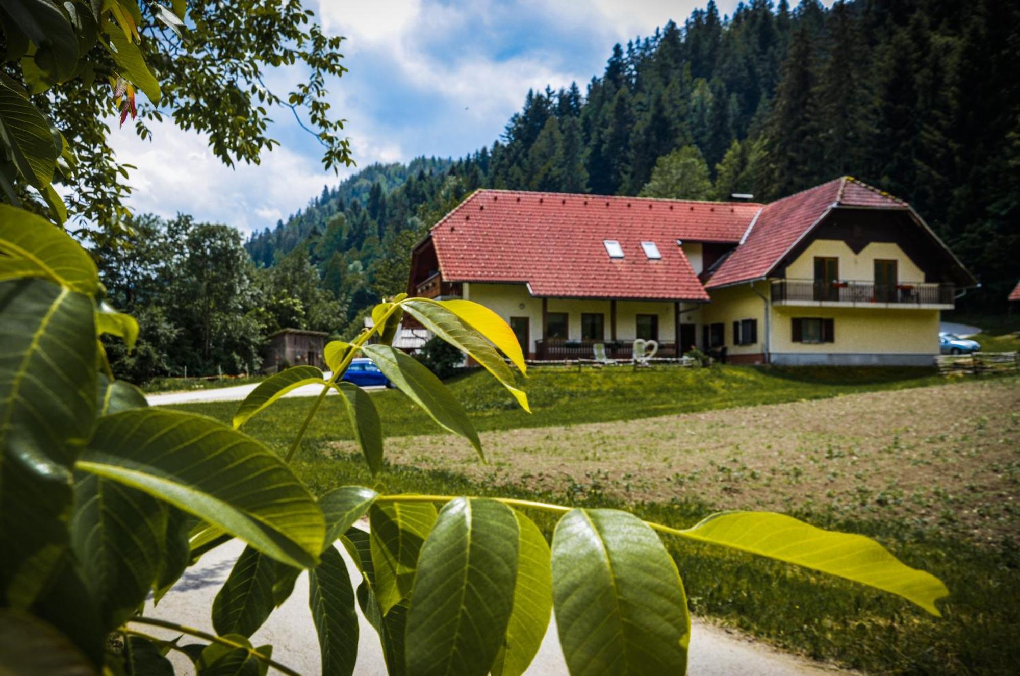Farm Stay Loger Ljubno Exterior foto